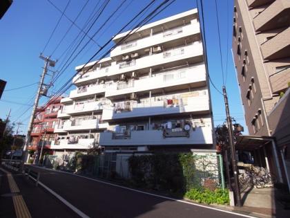 ダイアパレス上池台の外観