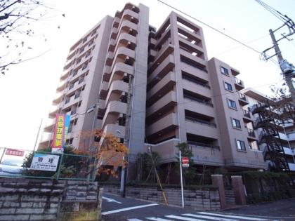 ナイスアーバン上池台の外観