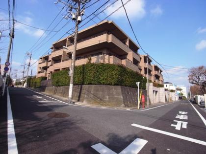 ナイスヒルズコート山王台の外観