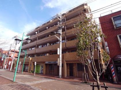 ライオンズマンション多摩川の外観