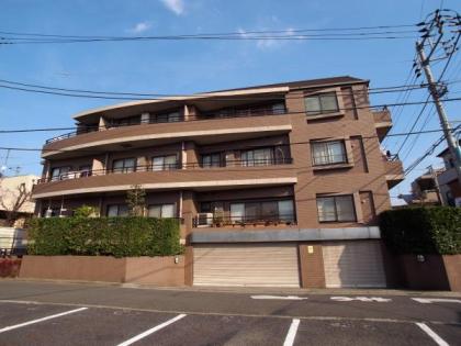 コリーヌメジロの外観