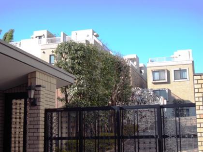 セボン小石川の外観