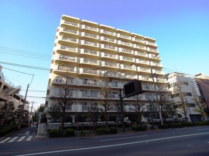 アゼリアハイライズの外観