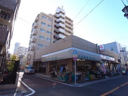 グランドメゾン大森山王の外観