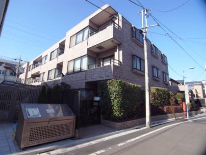 ザパームス高円寺　ザ・パームス高円寺の外観