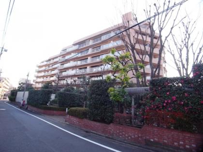 杉並和田ハイムの外観