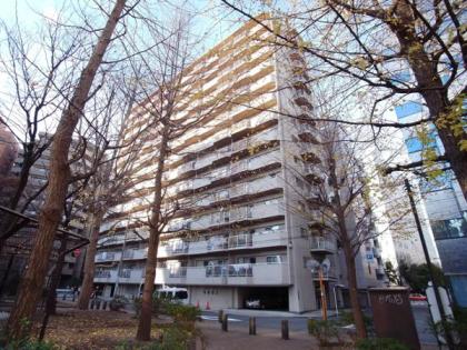 東亜パークサイドキャッスルの外観