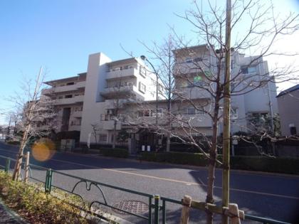 ハイツ浜田山の外観