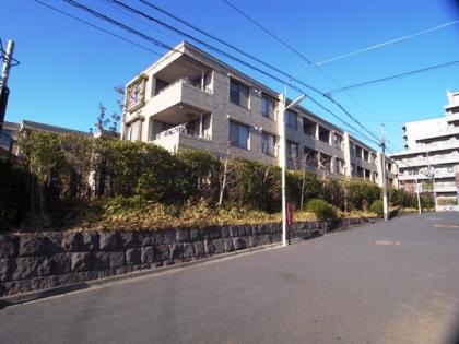 ハイコート浜田山の外観