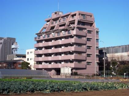 ライオンズマンション高井戸南の外観