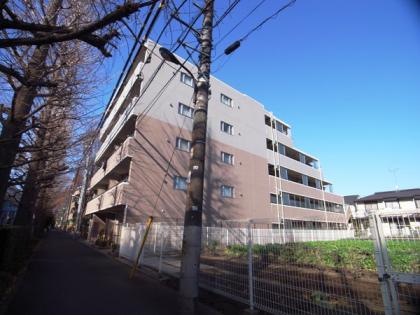 日神パレステージ高井戸西の外観