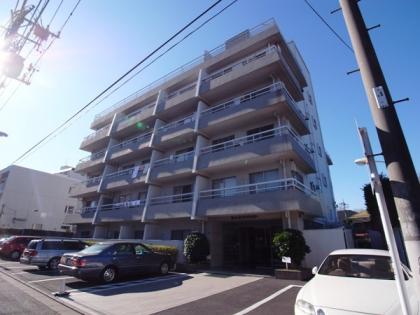 桜上水マンション　　桜上水マンションの外観