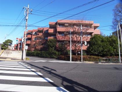ライオンズヴィアーレ浜田山の外観