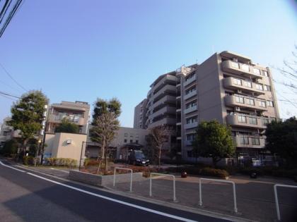 セザールパークサイド石神井公園の外観