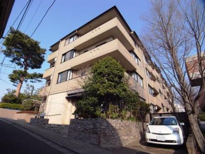 ナイスアーバン石神井公園の外観