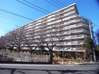 上石神井ハイムの外観