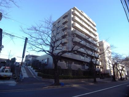 藤和シティホームズ大泉学園町の外観