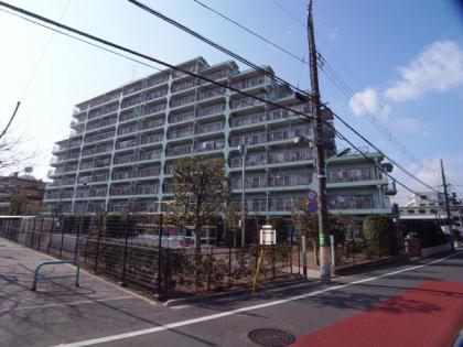 石神井ハイライズの外観