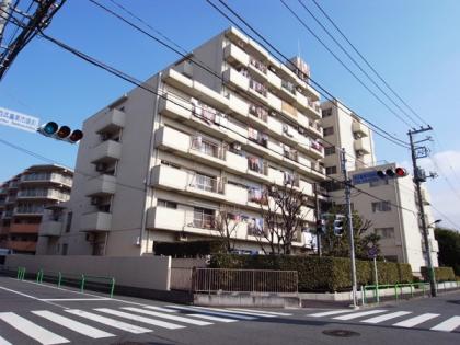 石神井公園パークハイツの外観