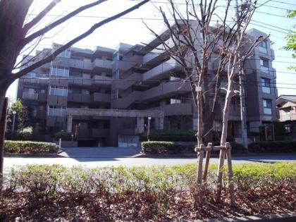 ヴェルビュ大泉中央公園の外観