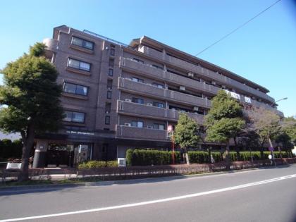 ライオンズヴィアーレ光が丘公園の外観