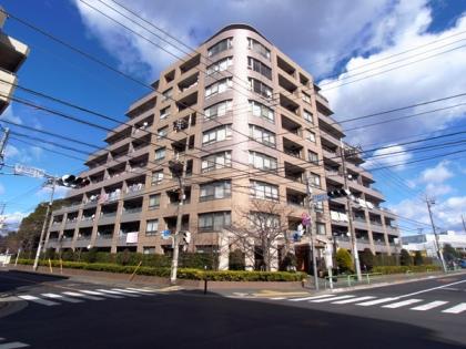 ダイアパレス平和台エルウイングスの外観