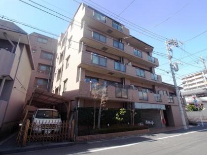 ザ・ステイツ向山フィルコートの外観