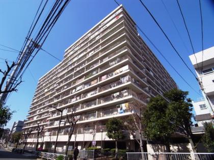 ウインザーハイム南砂の外観