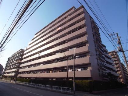 藤和シティホームズ西大島の外観