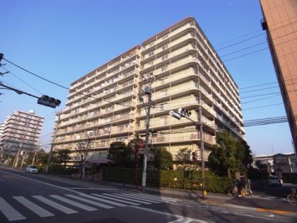 東大島ハイライズの外観