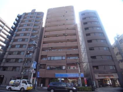 ライオンズステーションプラザ大島の外観