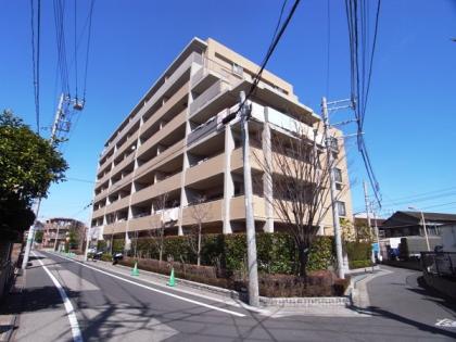 コスモハイセレサグラシエの外観