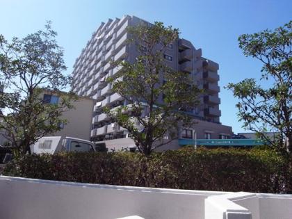 ライオンズガーデン東向島の外観