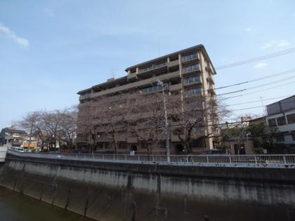 ハウス南ときわ台の外観