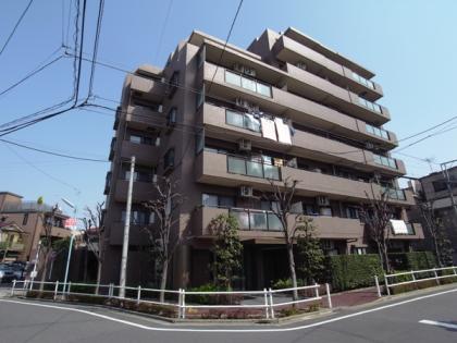 ソフィア板橋蓮根の外観