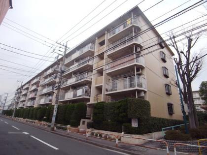 エステート五反野住宅　エステート五反野の外観