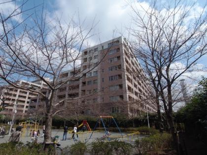 マナーズフォートスイートテラス　マナーズフォート　スイートテラスの外観