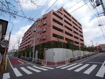 ライオンズガーデン東武練馬弐番館の外観