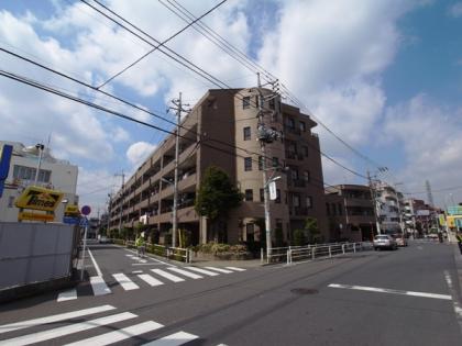 ルイシャトレ東武練馬ルミエールの外観