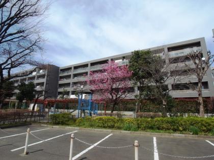 エクレールガーデン鷺ノ宮の外観