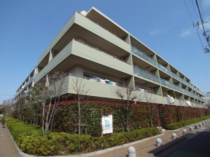 ディアプレイス中野野方の外観