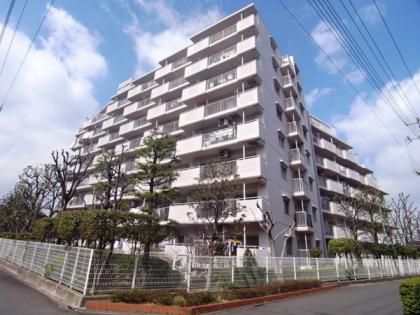 ルマージュ綾瀬の外観