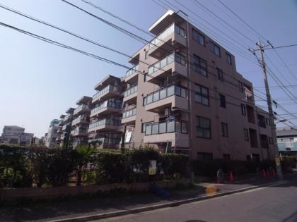 マイキャッスル北綾瀬の外観