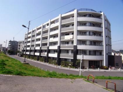 レクセル亀有リバーサイドの外観