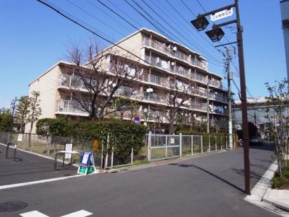 ソフィア西新井の外観