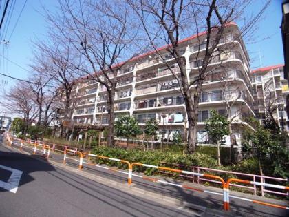 西新井スカイハイツの外観