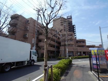 ライオンズステーションプラザ梅島の外観