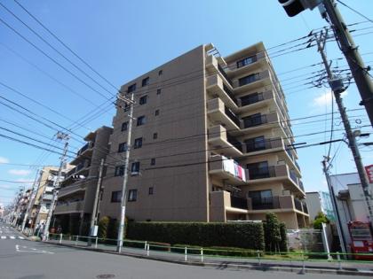 セルテシティオ亀有の外観