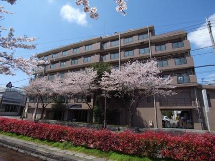 日神パレステージ亀有の外観