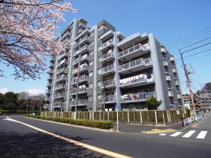 コスモ葛西臨海公園の外観